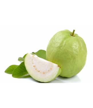 THAI GUAVA